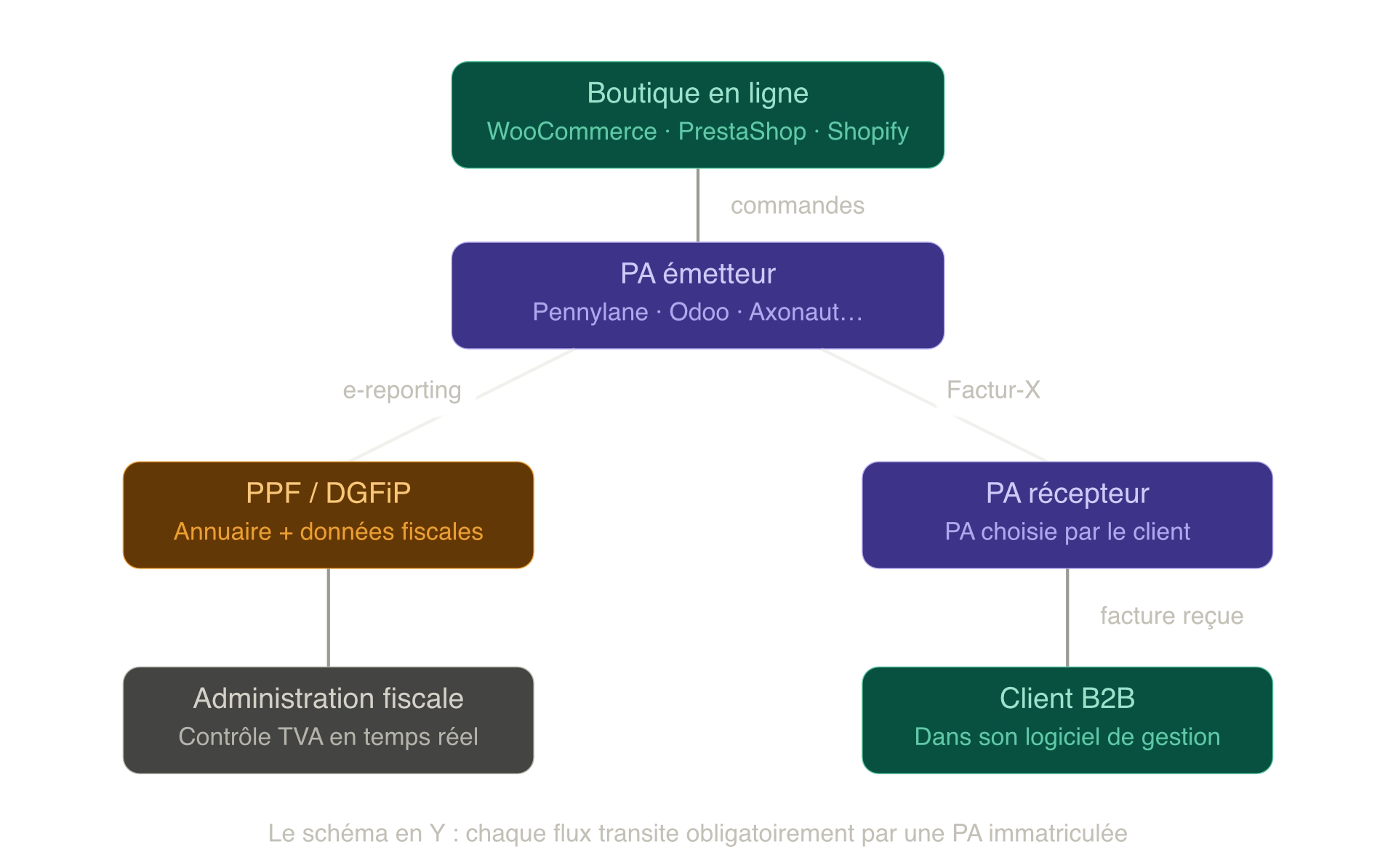 Y-shaped diagram of electronic invoicing: the online store feeds a sending Accredited Platform, which routes e-reporting data on one side to the PPF and the DGFiP, and the Factur-X invoice on the other to the B2B customer's receiving Accredited Platform.