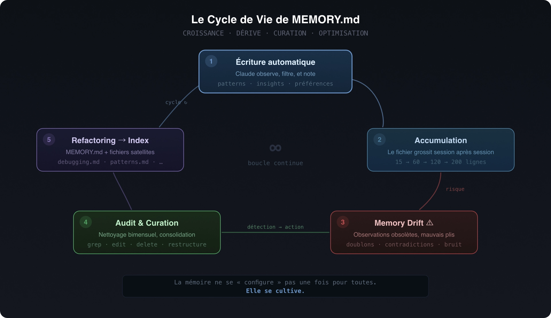 Diagramme cyclique en 5 étapes du cycle de vie de MEMORY.md : écriture automatique par Claude (patterns, insights) → accumulation progressive (15 à 200 lignes) → risque de Memory Drift (doublons, observations obsolètes) → audit et curation manuelle (grep, edit, delete) → refactoring en index + fichiers satellites → retour à l'écriture automatique. Citation centrale : « Elle se cultive. »