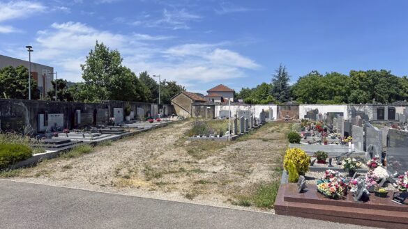 Vue d'ensemble du cimetière de Saint-Marcellin, avec une intersection d'allées bitumées et une allée secondaire en friche envahie par l'herbe sèche sous un ciel bleu ensoleillé. Des tombes en granit sont visibles à gauche et en arrière-plan.
