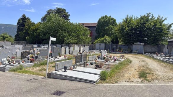 Perspective d'une large allée secondaire du cimetière de Saint-Marcellin, le long d'un mur d'enceinte en béton, presque entièrement recouverte d'herbe sèche et de friche. Des rangées de tombes bordent l'allée de chaque côté.